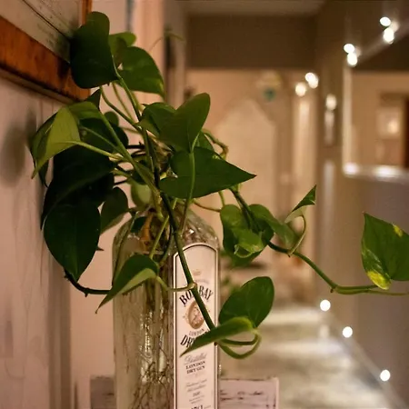 Hotel In Trastevere House 2*